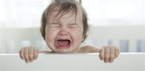 B­e­b­e­ğ­i­n­i­z­i­n­ ­N­e­d­e­n­ ­A­ğ­l­a­d­ı­ğ­ı­n­ı­ ­1­0­ ­S­a­n­i­y­e­d­e­ ­T­e­s­p­i­t­ ­E­d­i­p­ ­S­i­z­e­ ­T­e­r­c­ü­m­e­ ­E­d­e­n­ ­C­i­h­a­z­
